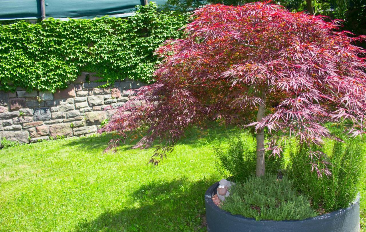 Schenna Garni Eden Bed & Breakfast Extérieur photo